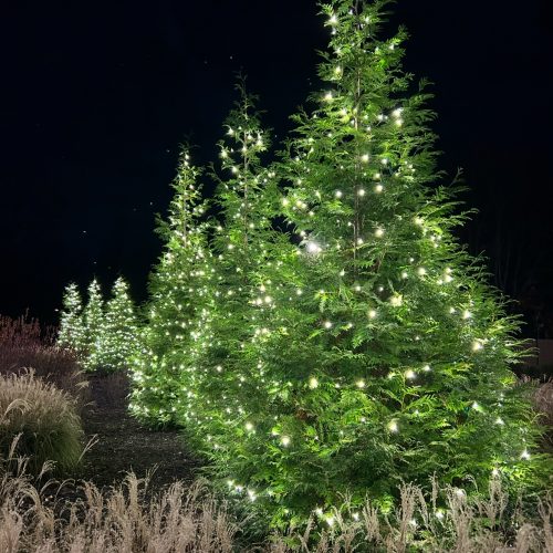 Christmas Light Installation in Charlotte, NC