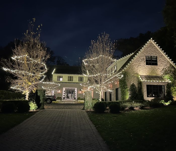 christmas-light-installation-gleaming-gutters5