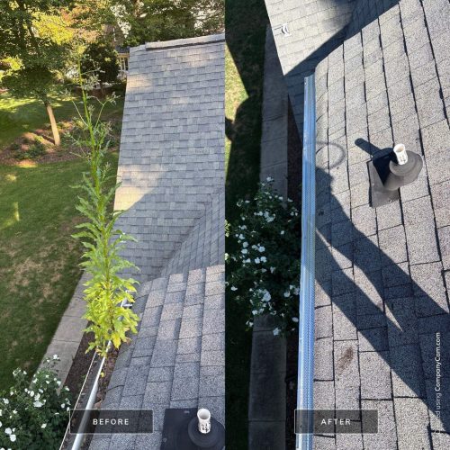 Gutter Cleaning Gastonia, NC